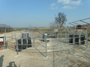 Sprehaljalnik za konje 04